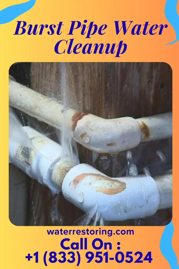 Burst Pipe Water Cleanup in Mariemont, OH