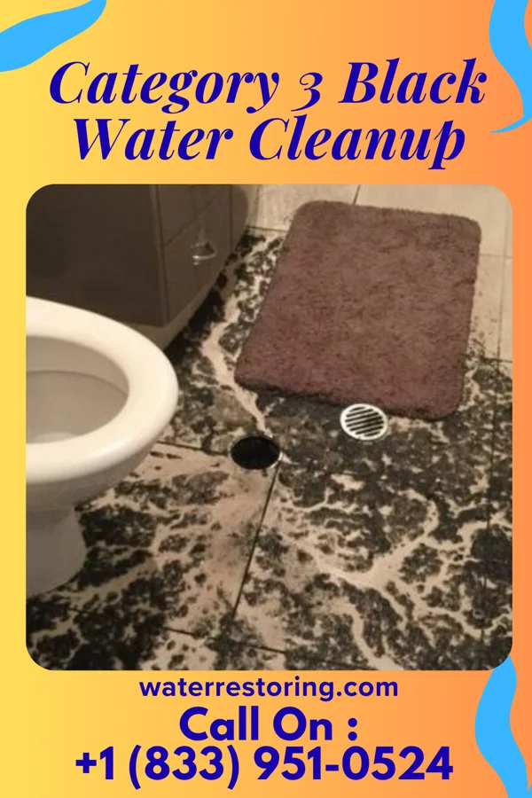 Category 3 Black Water Cleanup in Mariemont, OH