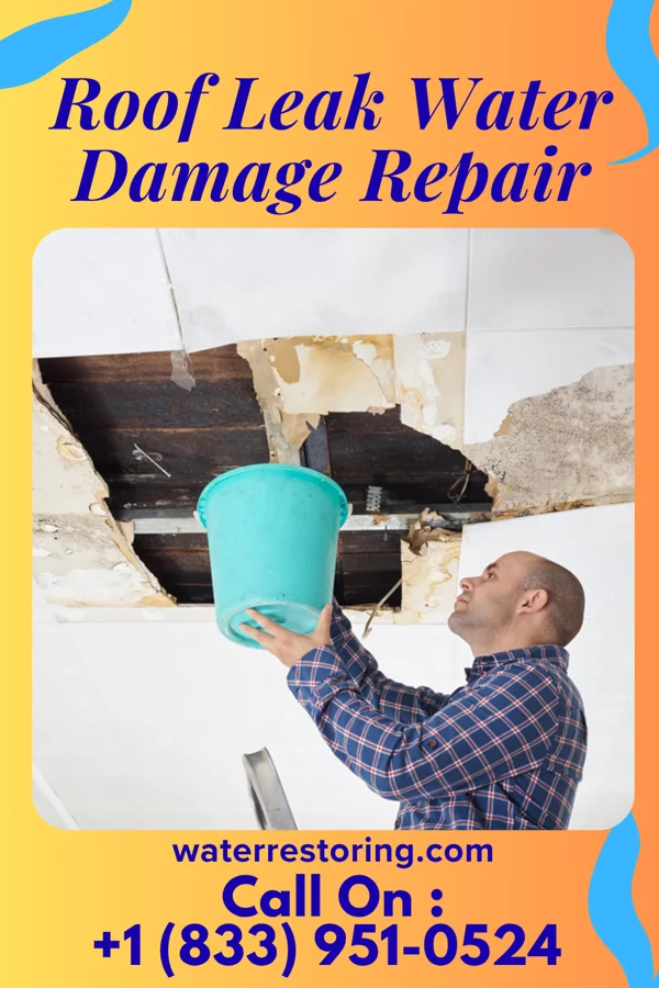 Roof Leak Water Damage Repair in Mariemont, OH