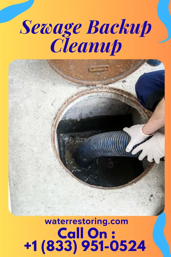 Sewage Backup Cleanup in Mariemont, OH
