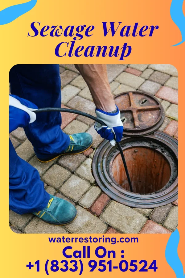 Sewage Water Cleanup in Mariemont, OH