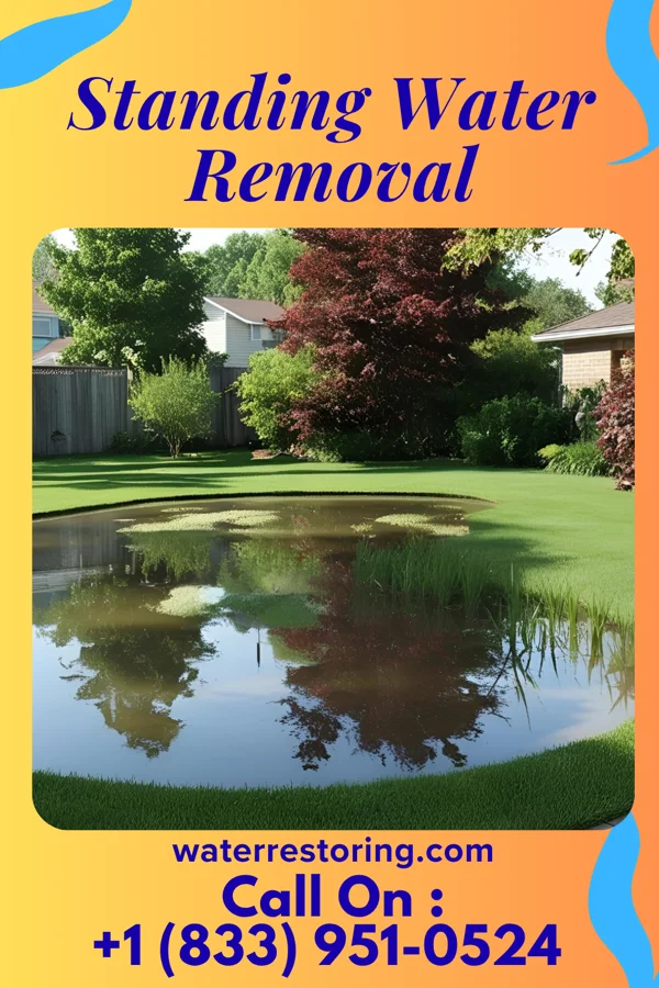 Standing Water Removal in Mariemont, OH